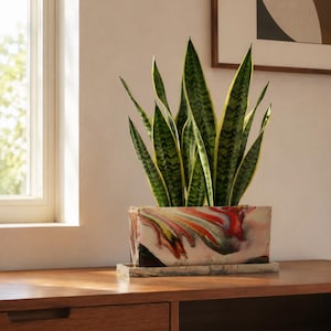 May include: A snake plant with tall, pointed, variegated green and yellow leaves potted in a rectangular planter. The planter features a marbled, multi-colored finish with swirls of red, white, black, and yellow, and sits on a matching tray.