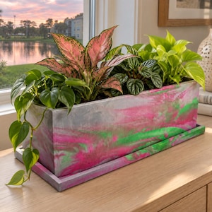 May include: A rectangular concrete planter with a marbled finish in shades of vibrant pink, bright green, and gray. The planter sits on a matching rectangular tray and contains three different types of green and pink-variegated houseplants.