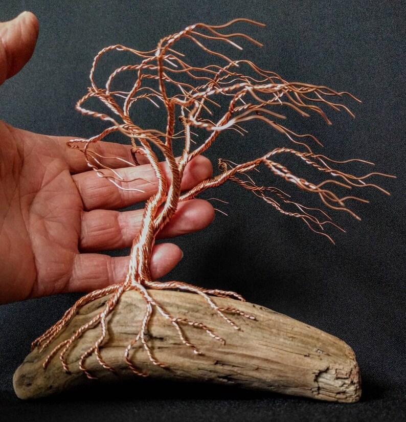 Wonderfully magical copper wire tree growing from driftwood Etsy