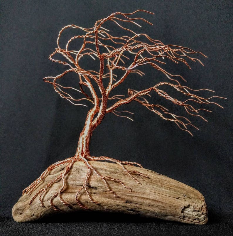 Wonderfully magical copper wire tree growing from driftwood Etsy
