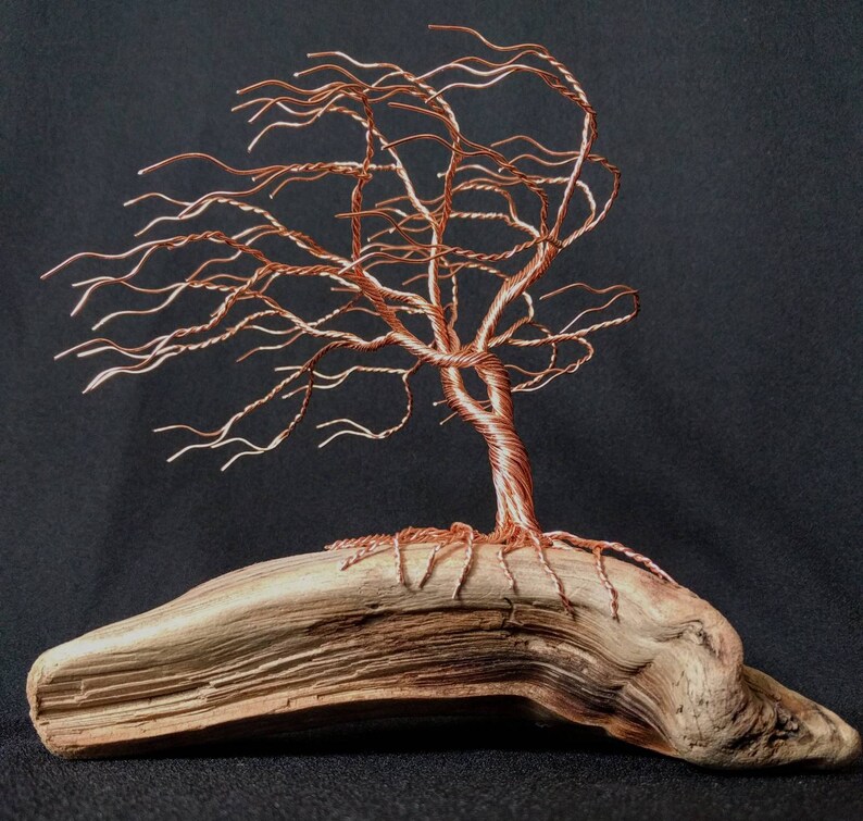 Wonderfully magical copper wire tree growing from driftwood Etsy