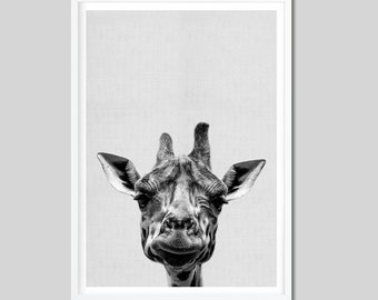 Giraffe Print, Black and White Print, Art Print, Poster, Animal Print, Gift Idea, Photography Poster Animal Poster Wall Decor Home Decor