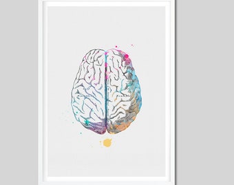 Cerveau humain aquarelle impression cerveau affiche cerveau peinture affiche affiche médicale Home Decor anatomie Art anatomie imprime cadeau étudiant en médecine