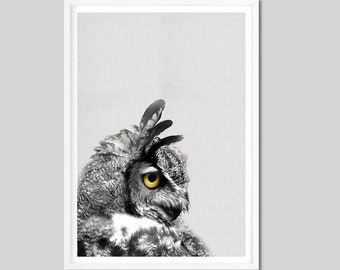 Black and White Owl Print, Black and White Print, Art Print, Poster, Animal Print, Gift Idea, Photography Poster Animal Poster Wall Decor