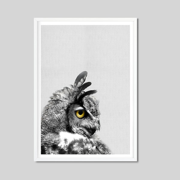 Black and White Owl Print, Black and White Print, Art Print, Poster, Animal Print, Gift Idea, Photography Poster Animal Poster Wall Decor