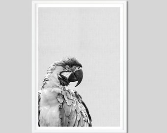 Impression perroquet monochrome, Impression noir et blanc, Impression d’art, Affiche, Impression d’animaux, Idée cadeau, Affiche de photographie Animal Poster Décoration murale