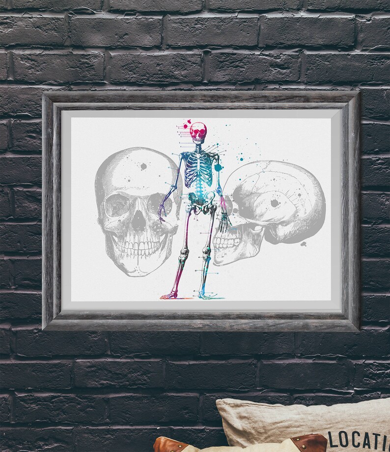 Skeleton Anatomy Watercolor Print Medical Gift Doctor Poster Science Art Skeleton Diagram Skeletal Poster Anatomical Office Decor Medical image 5