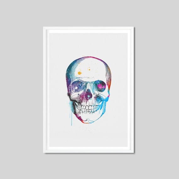Vintage Medical Illustration Skull Teeth Dental Anatomy Real Canvas Art Print 2