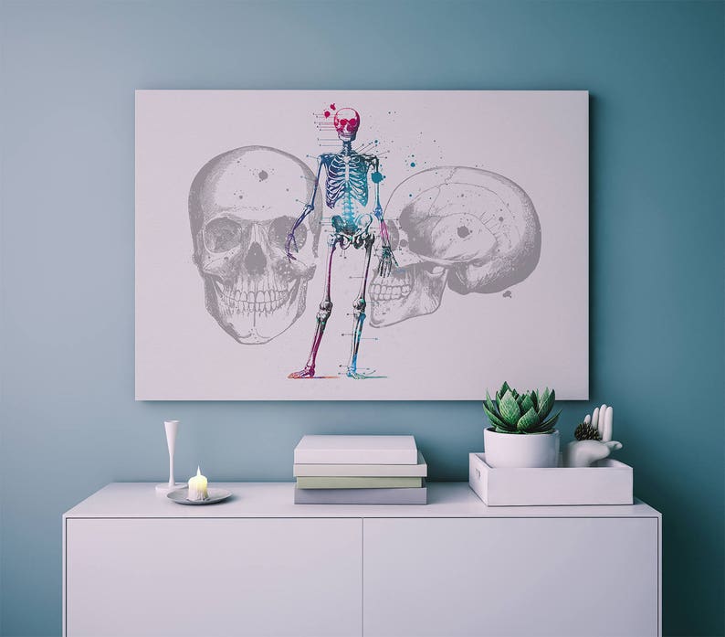 Skeleton Anatomy Watercolor Print Medical Gift Doctor Poster Science Art Skeleton Diagram Skeletal Poster Anatomical Office Decor Medical image 4