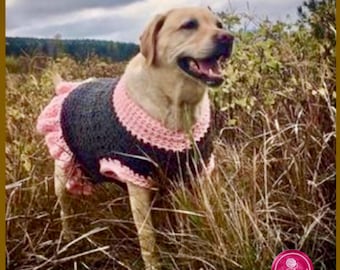 May include: A yellow Labrador Retriever wearing a dark gray crocheted dog sweater with a light pink ribbed collar, arm openings, and a ruffled hem. The sweater features a textured stitch pattern and is fitted around the dog's torso.