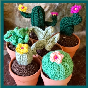 May include: A collection of five crocheted cacti and succulents in small terracotta pots. The plants are various shades of green with small crocheted flowers in yellow, pink, and peach. Each plant is set in dark brown crocheted soil.
