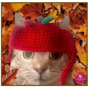 May include: A cat wearing a bright red crocheted hat with a small green and gray embellishment. The cat's face is centered, with large green eyes. The background features autumn leaves in shades of brown, yellow, and orange.