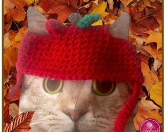 May include: A cat wearing a bright red crocheted hat with a small green and gray embellishment. The cat's face is centered, with large green eyes. The background features autumn leaves in shades of brown, yellow, and orange.