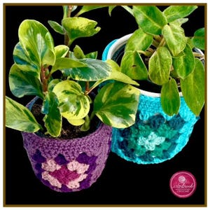 May include: Two potted plants with vibrant green and yellow leaves. The pots are adorned with colorful, crocheted cozies in shades of purple, pink, and teal. The image is set against a black background, highlighting the plants and their decorative covers.