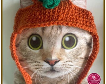 Puede incluir: Un gorro de calabaza naranja tejido a ganchillo con un tallo verde en la parte superior y solapas para las orejas, exhibido en una tarjeta impresa que muestra la cara de un gato. El gorro tiene un patrón de punto texturizado para gatos.