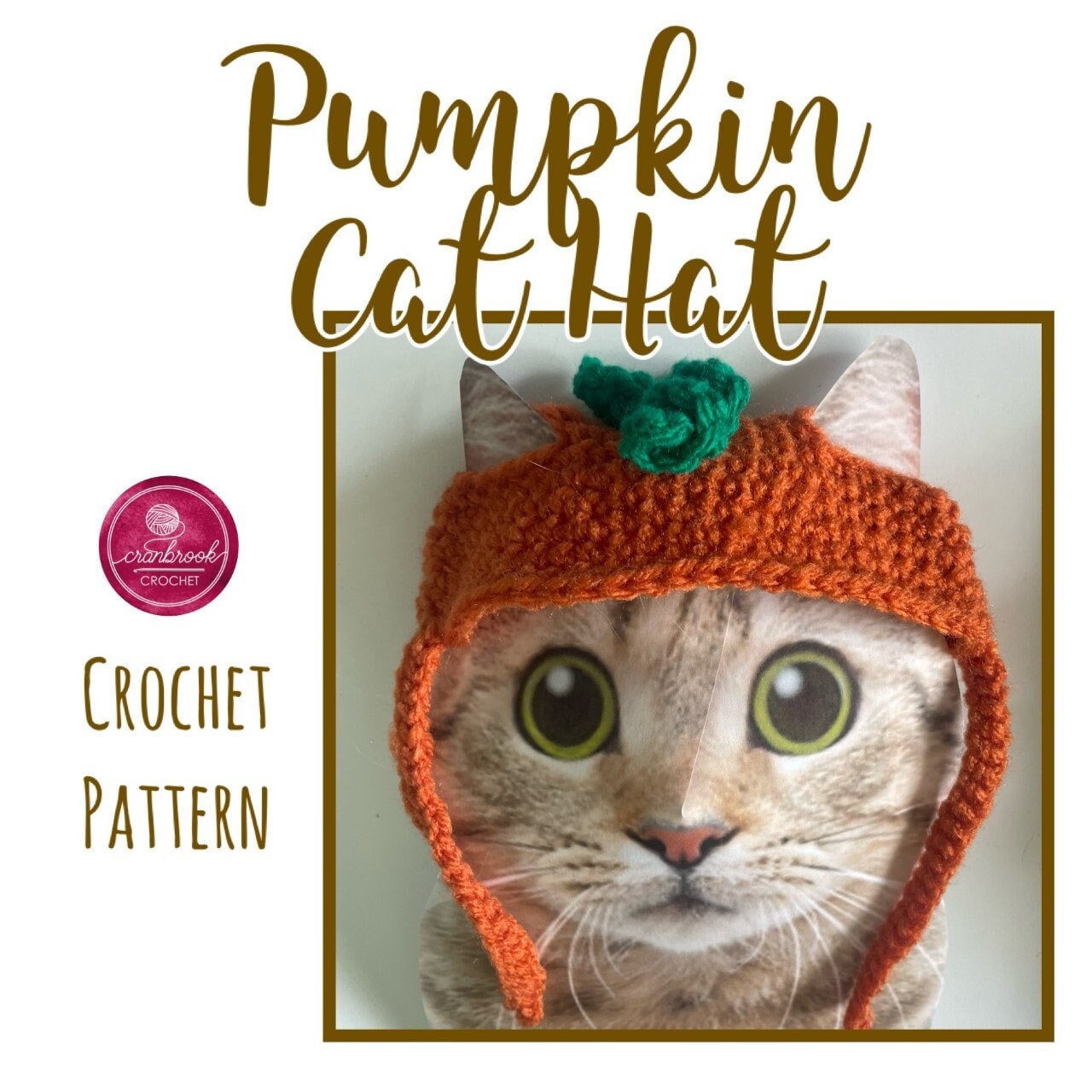 Pumpkin the Cat Amigurumi Kit – Snacksies Handicraft