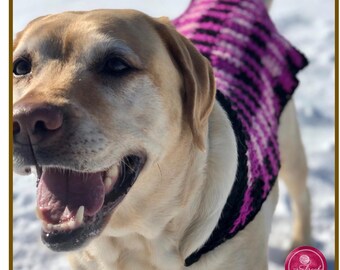 May include: A yellow Labrador Retriever wearing a crocheted dog sweater featuring horizontal stripes in alternating shades of vibrant magenta, black, and white. The sweater covers the back and chest area of the dog, which is standing outdoors.