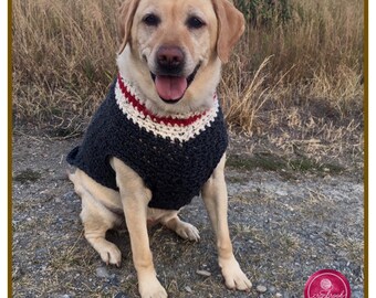 May include: A yellow Labrador Retriever wearing a dark charcoal gray crochet dog sweater with a V-neck collar featuring horizontal stripes in cream and red. The sweater has a textured stitch pattern and covers the dog's torso and chest area.