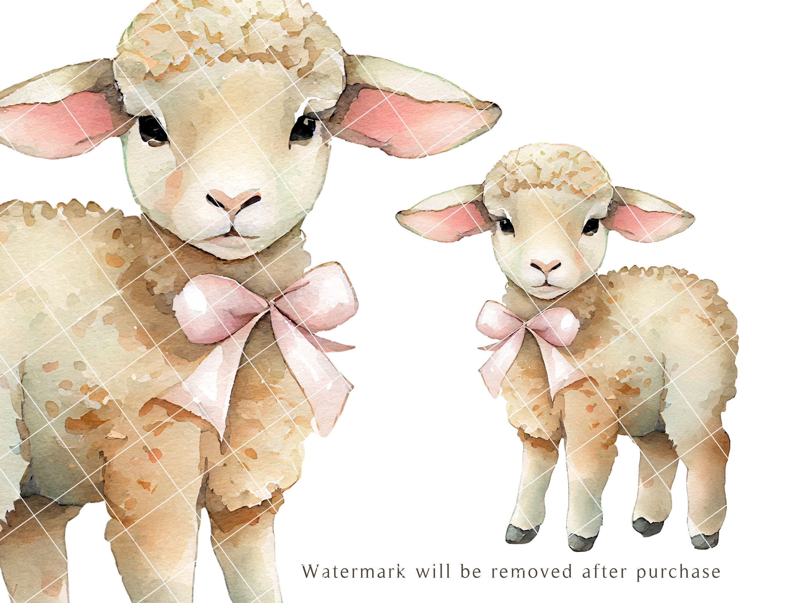 20 PNG Easter Lamb Clip Art Set Digital Watercolor Pink Etsy
