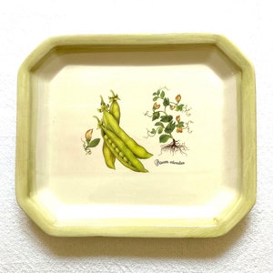 Octagonal Shape Italian Ceramic Plate with Botanical Print, Fragrant Pea Drawing, Ceramiche Due Torri,