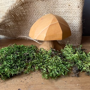 May include: A wooden mushroom sculpture with a light brown cap and stem. The cap has a faceted design. Green moss is in the foreground, and a burlap sack is in the background. The mushroom is a decorative item.
