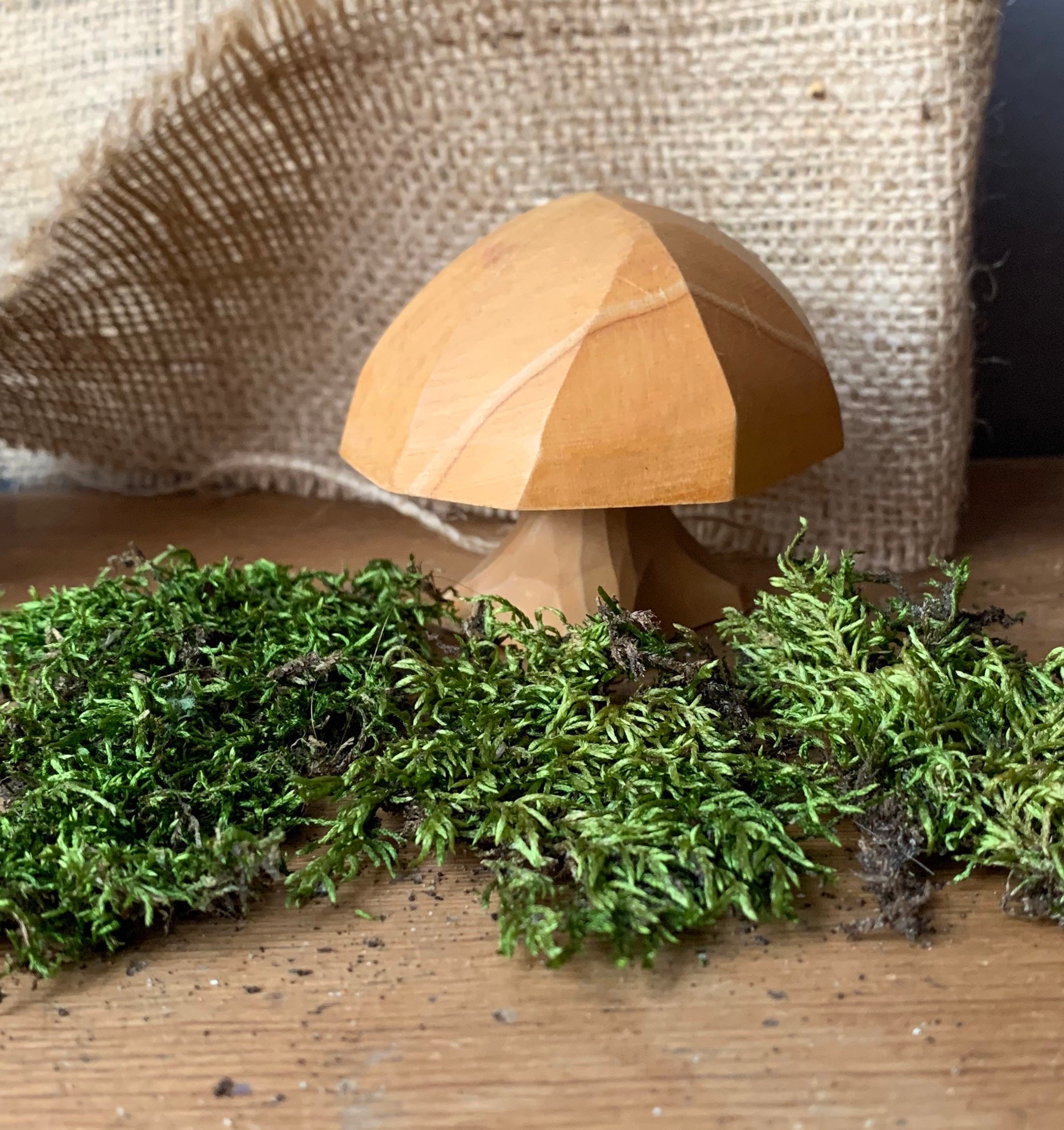 Hand Sculpted Wooden Mushroom: Signed Modern Art, Fall Display