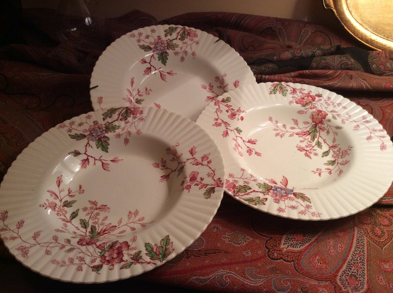 Booths China England Silicon China Porcelain Rim Soup Bowl with WashingtonPink Burgundy Floral Pattern English Porcelain Burgundy Floral
