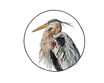 Great blue heron, Print, watercolor, handmade gifts, bird art, nature gift, birder