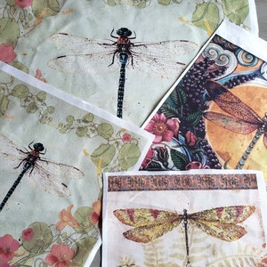 May include: Four fabric squares featuring dragonfly designs. Each square showcases a different dragonfly with varying colours and patterns. The dragonflies are surrounded by floral and leafy designs.