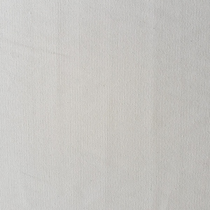 Puede incluir: Primer plano de una textura de lienzo blanco con un tejido fino.