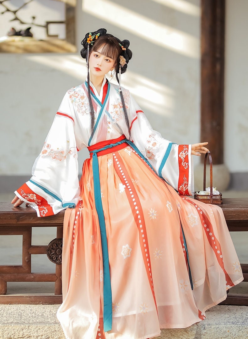 Jin Dynasty Hanfu Skirt Dress Woman Hanfu Set Women's - Etsy