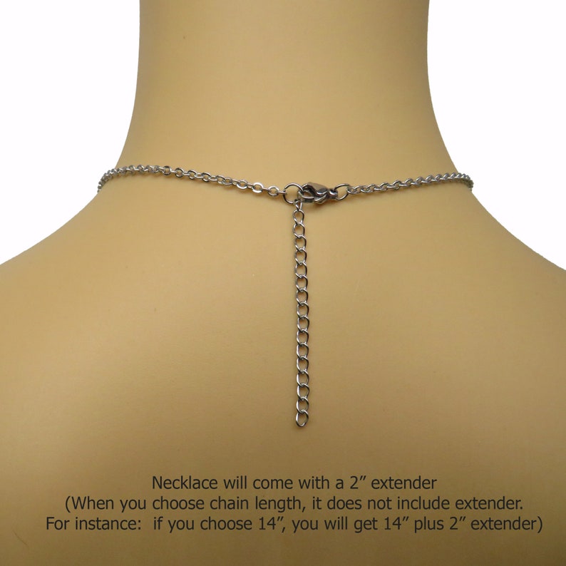 May include: A silver chain necklace with a 2-inch extender. The necklace is shown on a model's neck. "Necklace will come with a 2" extender (When you choose chain length, it does not include extender. For instance: if you choose 14", you will get 14" plus 2" extender)"
