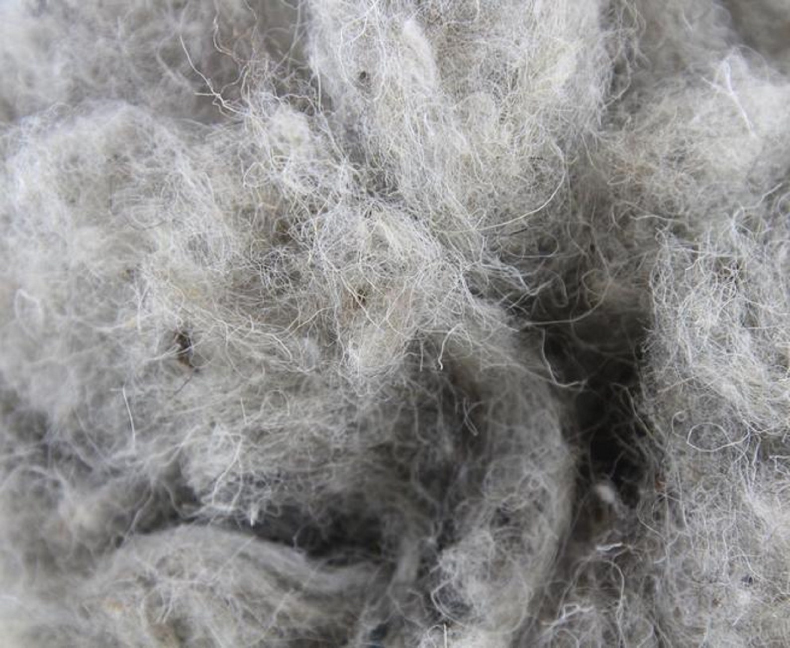 Core Wool for Felting Stuffing/Fiberfill 8 oz 100 Natural Etsy