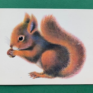 A. Isakov - « L'écureuil », carte postale, 1976