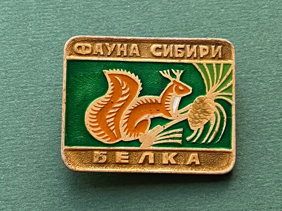 RARE Squirrel. Fauna of Siberia Pin. Vintage metal co… - Gem