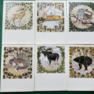 Poesia sulla regione dell'Amur. Set di 19 grandi cartoline d'epoca, Illustratore G. Pavlyshyn. 1983