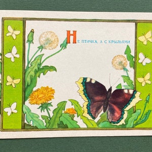 A. Dudnikov - "Borboleta", Cartão Postal, 1956