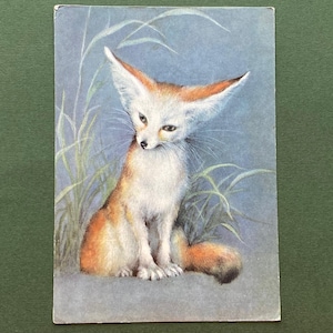 Renard, carte de visite Fenech. Illustrateur par I. Isakov. Carte postale ancienne non utilisée, 1982