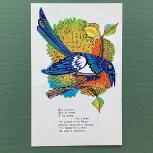 Carte de visite de la pie. Illustrateur de V. Davydov, poèmes de V. Kozhevnikov. Carte postale vintage neuve, 1974