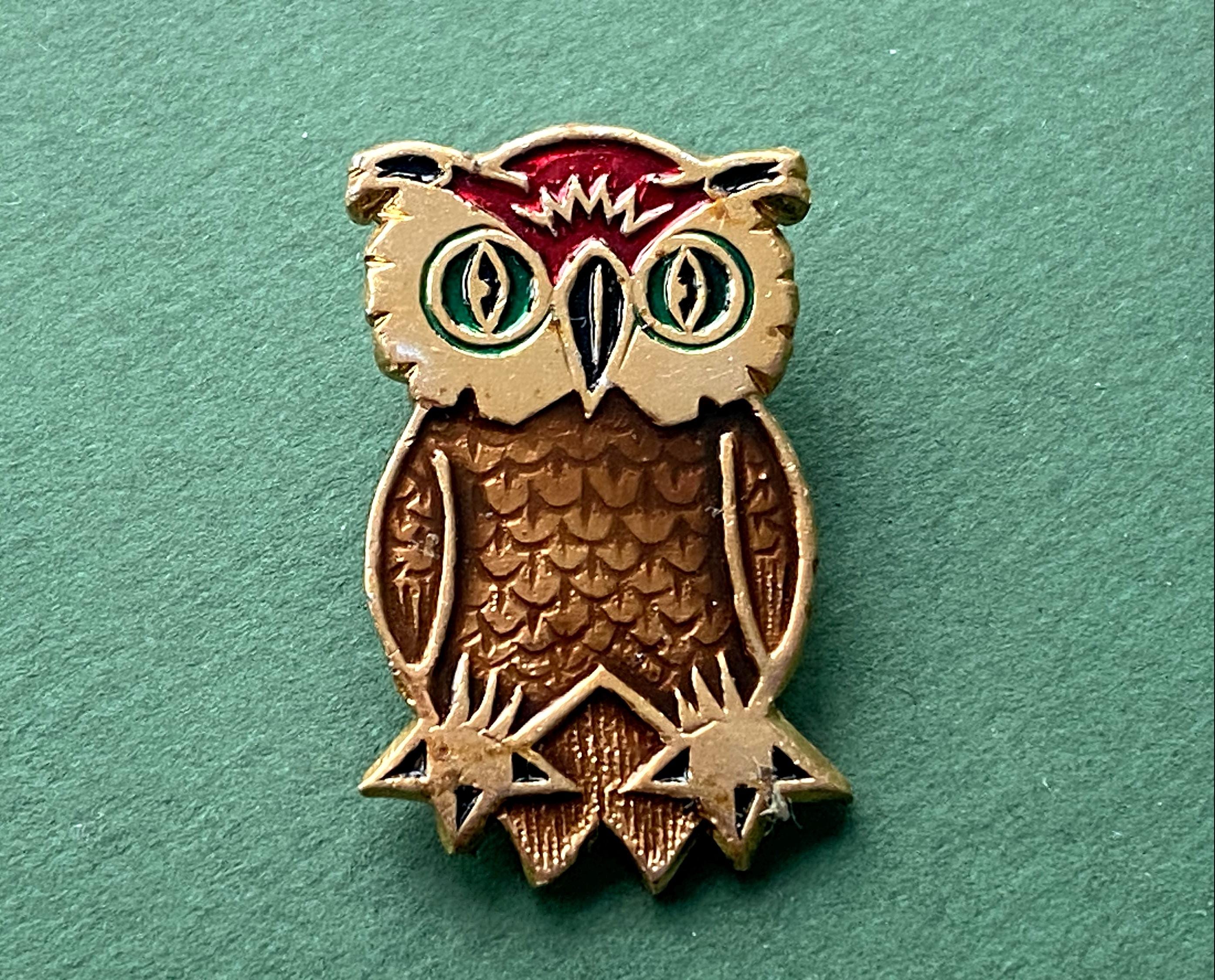 Owl Pin. Vintage collectible childrens soviet pin badge A7