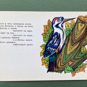 Carte de visite du pic-vert. Illustrateur de V. Davydov, poèmes de V. Kozhevnikov. Carte postale vintage neuve, 1974