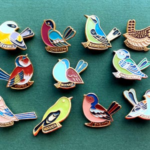 Spille piccole con uccelli. Distintivo da collezione vintage. Prodotto in URSS, A10