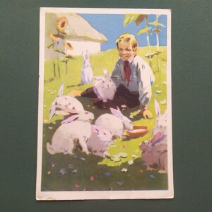 V. Starov "Menino com coelhos", Cartão postal 1956
