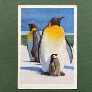 Postal sin usar de S. Nikolsky "Pingüinos", 1961