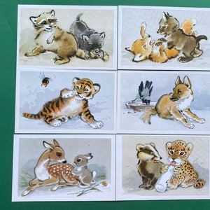 Postal de crías de animales en el zoológico. Conjunto de 16 postales antiguas, artista L. Hamburger, 1971