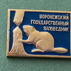 SELTENER Biber. Ersatznadel. Vintage Sammlerstück Kinder Abzeichen, Made in UdSSR A8