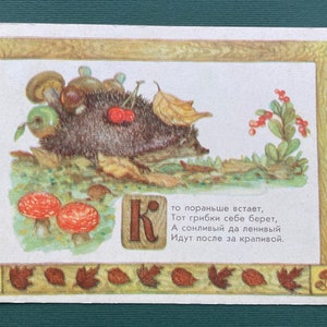 A. Dudnikov - « Hérisson », carte postale, 1956
