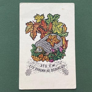 Illustration von J. Gimelbrandt. Igel. Ungebrauchte Ansichtskarten mit russischen Sprüchen, Postkarte - 1969.