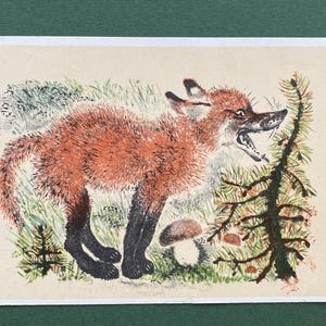 Illustrator by E. Charushin. Fox, Unused postcards, Postcard - 1967