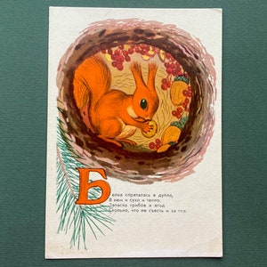A. Dudnikov - "Écureuil", Carte postale, 1958
